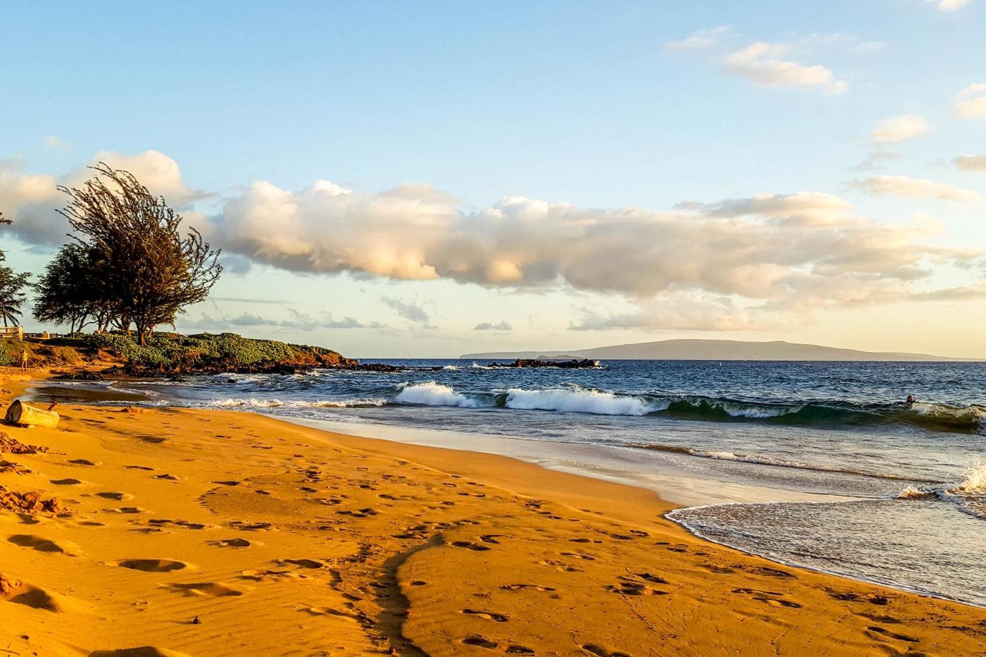 Maui Banyan Wailea (Maui) Quarto foto