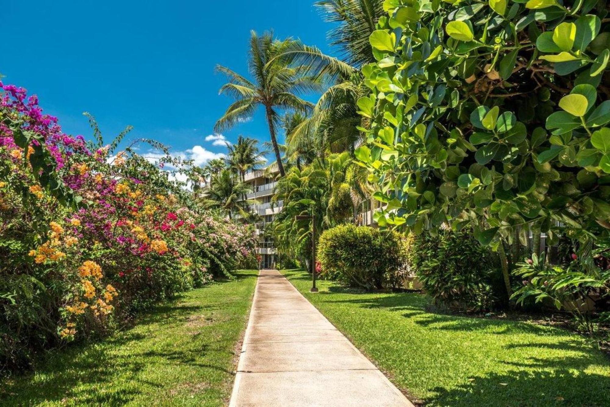 Maui Banyan Wailea (Maui) Quarto foto